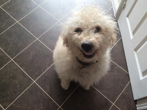 smile lola.JPG